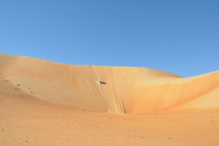 Liwa Full Day Desert Safari (exploring) - Photo 1 of 7